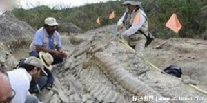 ​零六年真龙吃人照片，昆仑山冰封龙吞噬多人(谣言)