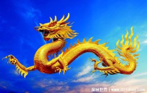 ​十二生肖四海为家是什么生肖动物，准确答案是龙