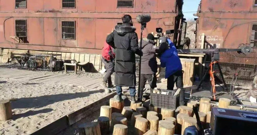 天才演员是什么动物(什么动物的别称是天才演员)  第5张