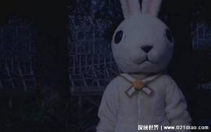 ​十只兔子谁是凶手，十兔子是凶手(五兔子惨死)