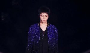 ​什么是歌手(什么是歌手专辑)