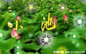 ​古诗小池描写的是哪个季节，小池古诗解释意思(初夏美景名作)