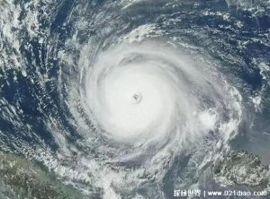 ​台风和飓风的不同点在于，发生地点和风力等级不同(飓风更恐怖)