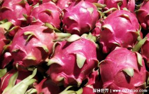 ​一天一个火龙果的危害，严重的会患上果尿症(影响肾脏健康)