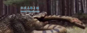 ​史前巨鳄:亚马逊莫拉氏鳄重达60吨 史前巨鳄还有哪些?