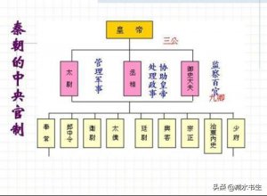 ​秦始皇为什么这么信任赵高（秦始皇重用身边太监赵高）