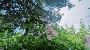​当两个人都不主动联系（男人多久不联系你算彻底放弃）