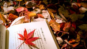 ​情商和智商哪个更重要（当今社会情商高好还是智商高好）