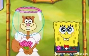 ​海绵宝宝结婚了是真的吗，老婆居然是珊迪(其实只是一个幻想)