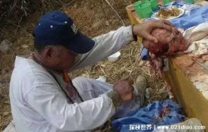​泰国食人宴是真的吗，真实存在而且还合法(胆小勿入谨慎观看)