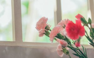 ​想你爱你却留不住你是什么歌曲(想你念你却留不住你歌曲叫什么名)