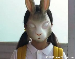 ​世界上最诡异的兔子，兔子成杀人狂(并没有被证实)