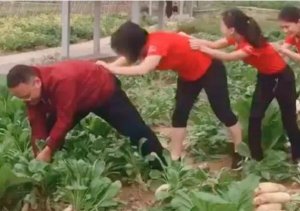 ​在床上拔萝卜是什么意思，是性暗示(指女上男下的爱爱姿势)