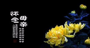 ​想念妈妈的歌曲有哪些(想念妈妈的歌曲有几首)