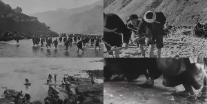 ​劳动的歌曲有哪些(劳动的歌曲有哪些儿歌)