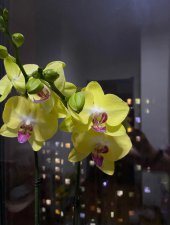 ​花花的世界歌曲叫什么(花花的世界歌曲全集)