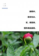 ​一个人唱情歌是什么歌曲(一个人唱情歌 歌词)
