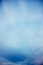 ​金钱社会现实的经典说说