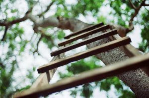 ​晚安情话送女朋友,睡前情话送女朋友[20条]