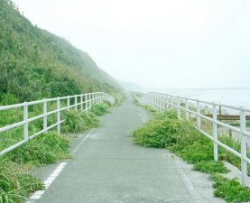 ​爸妈对孩子的希望寄语