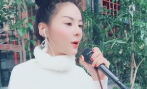 ​花姐快手比较火的歌曲 花姐最红的歌曲