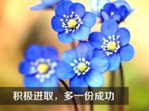 ​小猫干工作拟人句 描写猫的优美拟人句