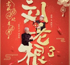 刘老根3刘老根离家出走到哪里了(刘老根4二奎见老根)