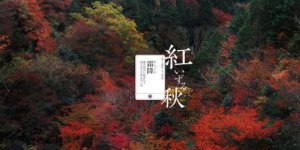 ​致自己生日唯美的句子 春的唯美句子150字