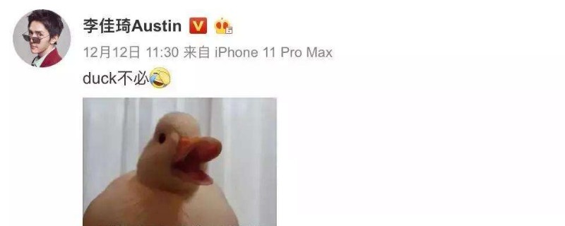 duck不必是什么梗啥意思