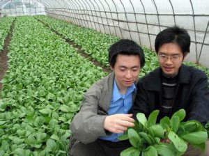 ​如果拥有一千元创业项目，一千元的起步资金可以做什么创业项目？