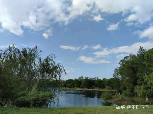 ​30岁初中毕业零基础学什么好，初中学历建议学点什么?本人女,今年30岁