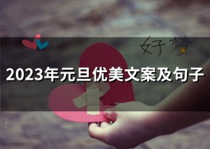 ​2023年元旦优美文案及句子(61句)