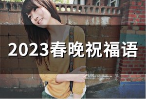 ​2023春晚祝福语(精选66句)