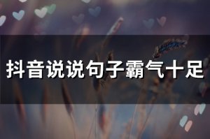​抖音说说句子霸气十足(精选63句)