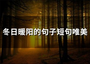 ​冬日暖阳的句子短句唯美(47句)