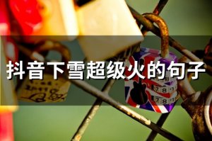 ​抖音下雪超级火的句子(64句)