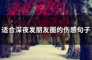 ​适合深夜发朋友圈的伤感句子(精选60句)