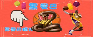 ​曼巴是什么意思