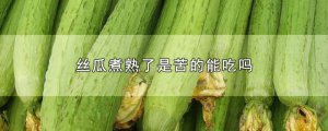 ​丝瓜煮熟了是苦的能吃吗