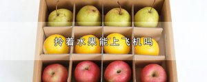​拎着水果能上飞机吗