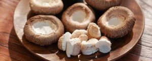 ​湿香菇放冰箱能保存多久