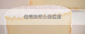 ​起司和芝士的区别