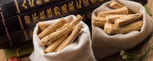 ​党参可以天天泡水喝吗