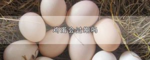 ​鸡蛋会过期吗