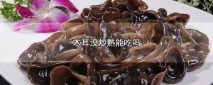 ​木耳没炒熟能吃吗