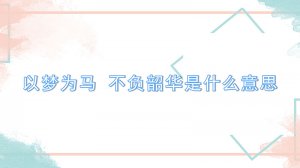 ​以梦为马 不负韶华是什么意思