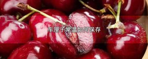 ​车厘子常温如何保存