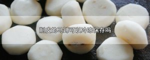 ​削皮的马蹄可以冷冻保存吗