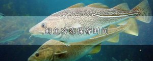 ​鲟鱼冷冻保存时间