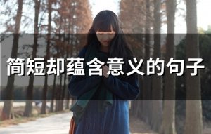 ​简短却蕴含意义的句子(114句)
